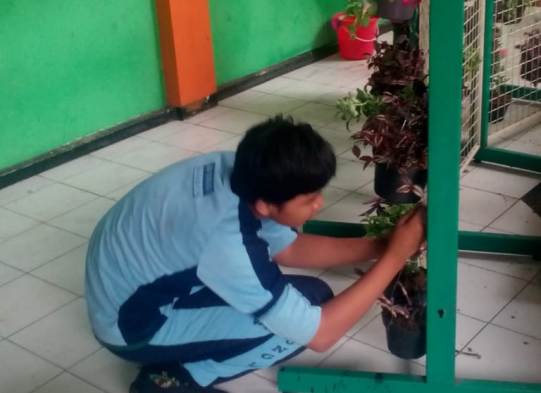 Hijaukan Sekolah, Cara untuk Menarik Calon Siswa Baru di SMP Kawung 1 Surabaya