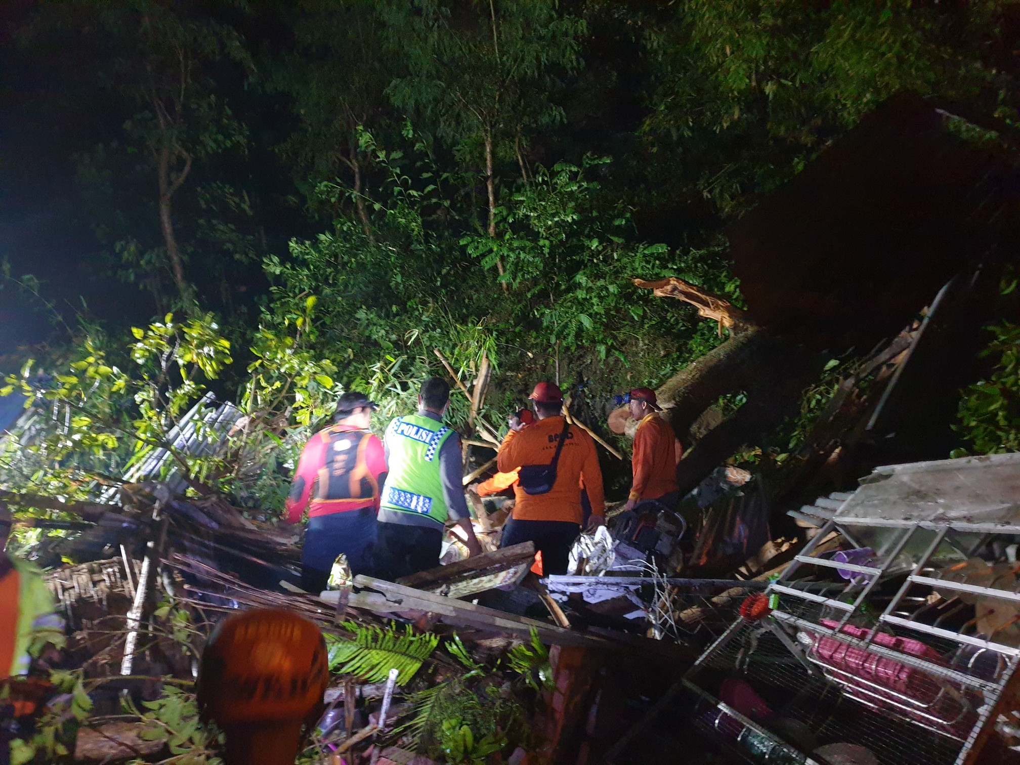 evakuasi-pohon.jpg