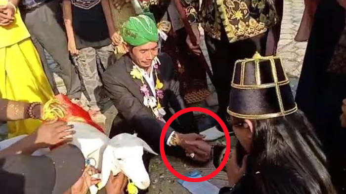 6 Fakta Pria Gresik Nikahi Kambing Libatkan 2 Anggota DPRD, Demi Like Banyak dan Bupati Angkat Suara