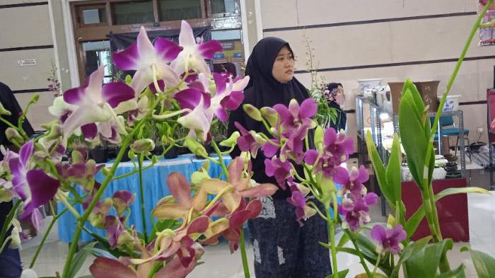 festival-anggrek-nasional-di-Jember.jpg