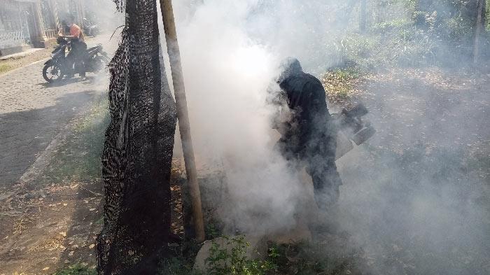 Waspada, Kasus DBD di Tulungagung Belum Mencapai Puncak, Tapi Sudah Ada 6 Korban Meninggal Dunia