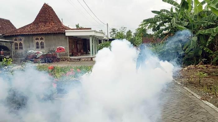 Tingkat Kematian Akibat Kasus DBD di Tulungagung Melonjak Dua Kali Lipat Dibanding Tahun 2023