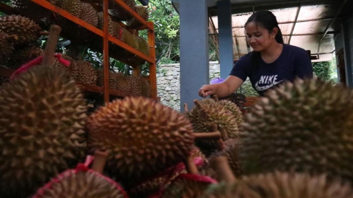 harga-durian-Wonosalam.jpg