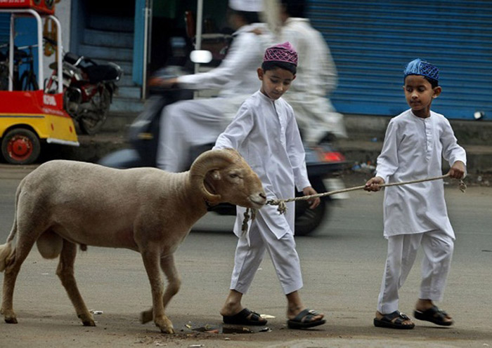 idul-qurban_20160914_185517.jpg
