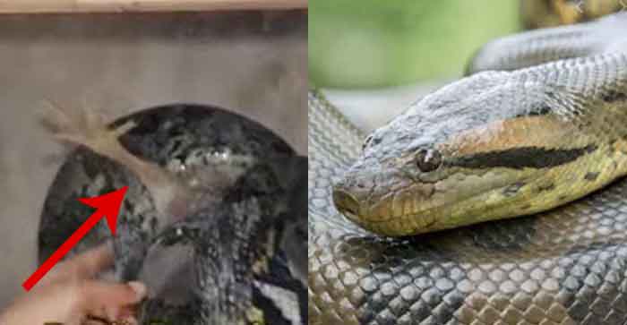 Qizlarini sikayotgan otalar porno video Uyqudagi yapon jinsiy aloqa