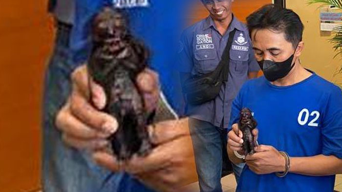 ini-rupa-jenglot-palsu-yang-dijual-hh-ke-juragan-kos-di-bantul-seharga-rp-17-juta.jpg