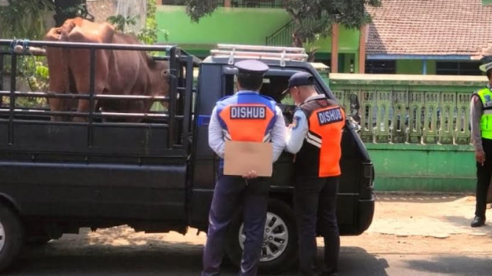 Banyak Pelanggaran Dimensi dan Angkutan, Dishub dan Polres Nganjuk Kembali Merazia Puluhan Kendaraan