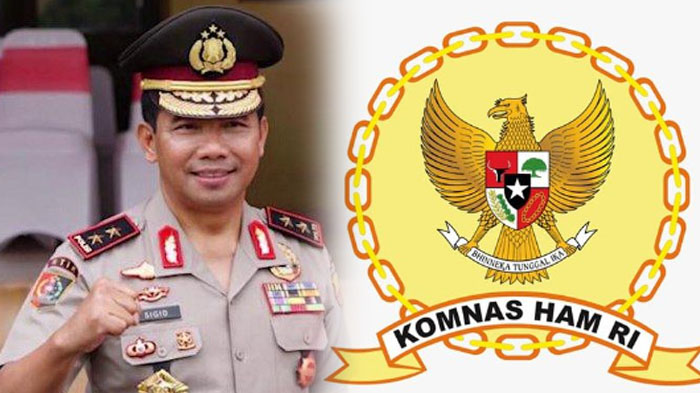 irjen-remegius-sigid-tri-hardjanto-kadiv-hukum-polri-yang-menjadi-calon-anggota-komnas-ham.jpg