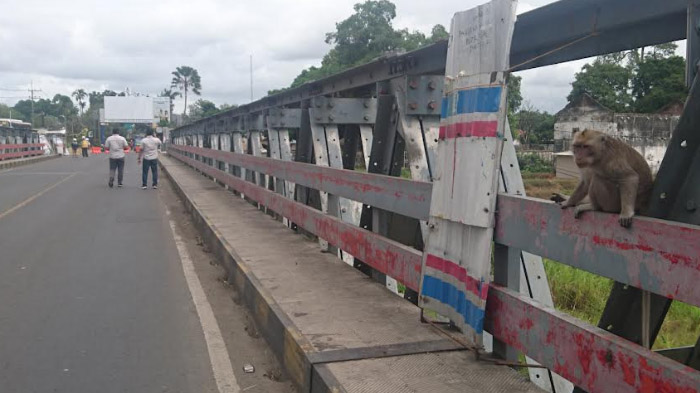 Akhir Riwayat Jembatan Monyet di Tulungagung, Langsung Dibongkar, Oktober Akan Menjadi Jembatan Baru