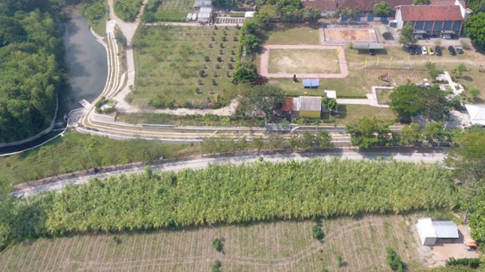 kampung-tani-di-kelurahan-jamsaren-kota-kediri.jpg