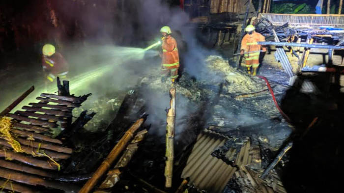 Kandang Bebek dan Sapi di Bojonegoro Terbakar Dilalap Api, Ratusan Ekor Terpanggang