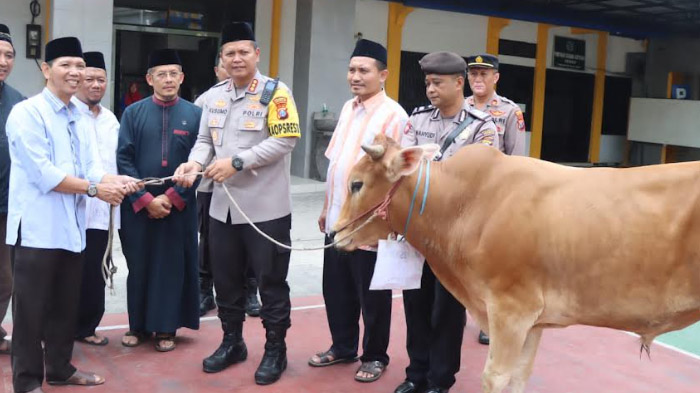 Idul Adha, Kapolresta Sidoarjo Terjun Langsung Dalam Pendistribusian 17 Sapi dan 60 Kambing
