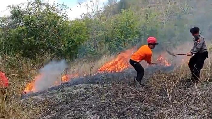 kebakaran-hutan-dan-lahan-di-Trenggalek-Jawa-Timur.jpg