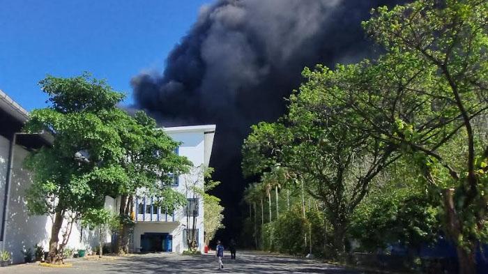 Fakta Dibalik Kebakaran Hebat Pabrik Plastik di Gresik yang Diungkap Petugas Pemadam