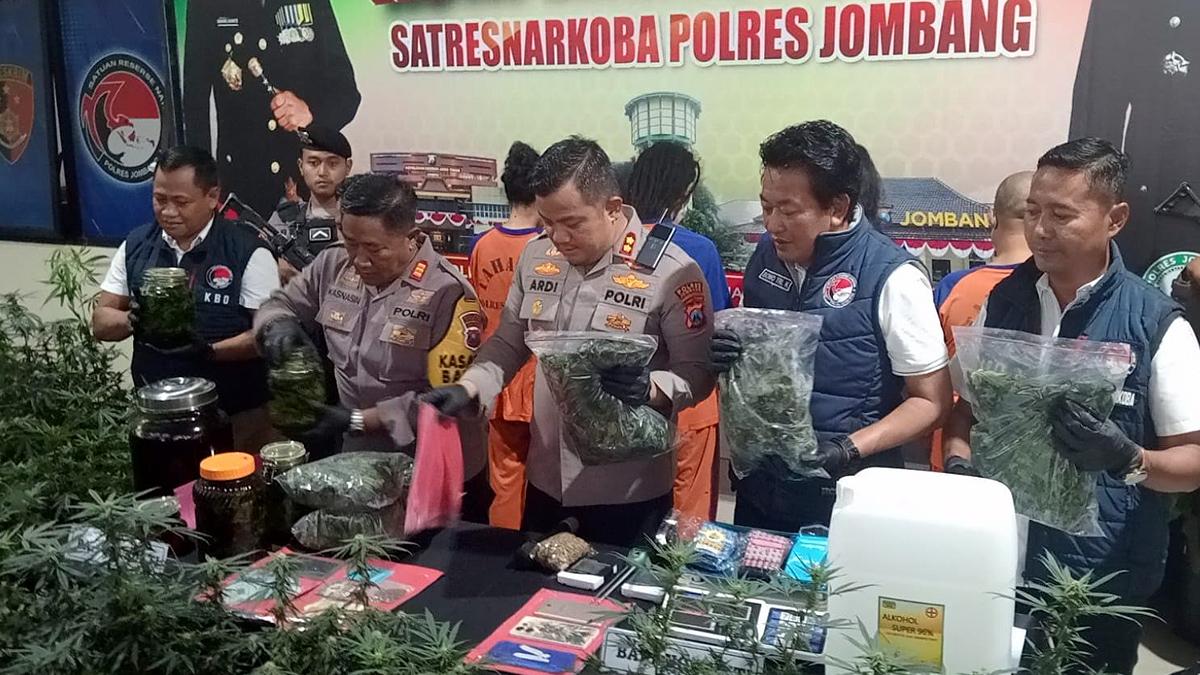 Respons BNN Soal Kasus Kebun Ganja di Rumah Kontrakan Jombang Beromzet Rp 6 Miliar