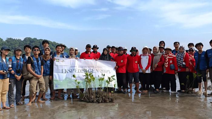 Jaga Ekosistem Pesisir Dari Abrasi, Aksara Forum Satu dan GEA ITB Tanami Mangrove di Bawean Gresik