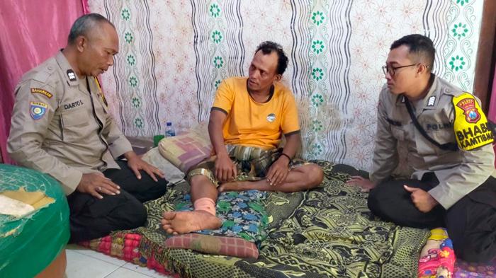 Serangan Kera Liar Teror Warga Desa Klungkung Jember, Sudah 5 Orang yang Jadi Korban