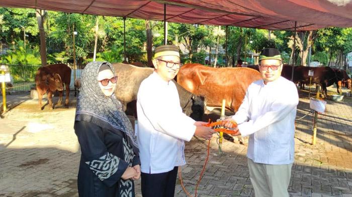 Beri Manfaat ke Masyarakat Saat Idul Adha, Petrokimia Gresik Sebar 134 Hewan Kurban Ke 3 Daerah