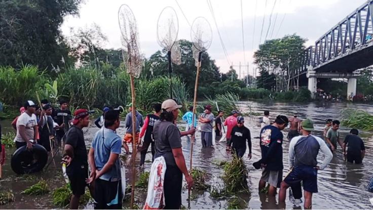 Antusiasme Warga Cari Ikan Mabuk di Bawah Jembatan Ngujang 2 Tulungagung