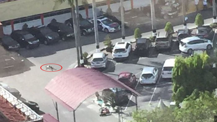 Mapolda Riau Diserang Teroris: Seorang Polisi Gugur, 4 Teroris Tewas dan 2 Jurnalis Terluka