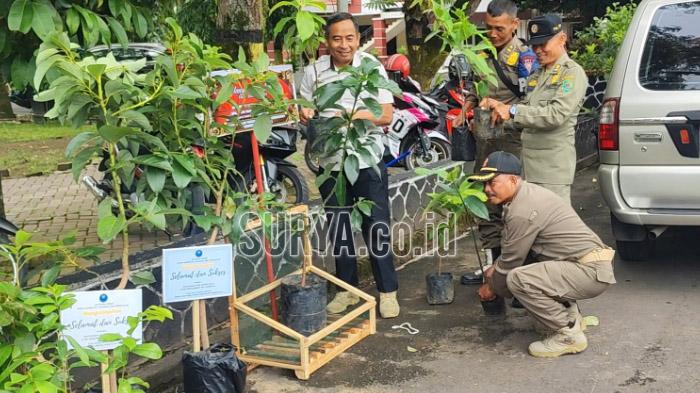 Beri Selamat Pelantikan Mas Ipin-Syah, Pendopo Kabupaten Trenggalek Dipenuhi Bibit Tanaman