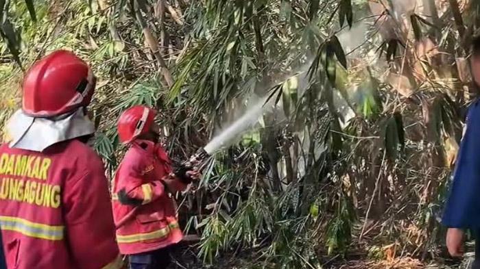 Ada 39 Kebakaran Di Tulungagung Sejak Januari 2025, Warga Diminta Mengawasi Proses Pembakaran Sampah