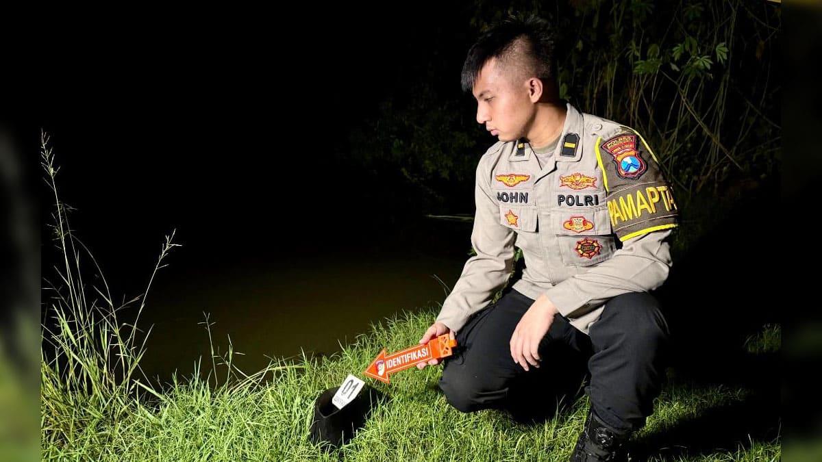 Tribun