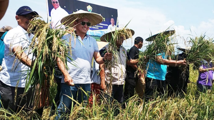 Petrokimia Gresik Kenalkan Pupuk NPK Petro Nitrat upaya Tingkatkan Swasembada Pangan