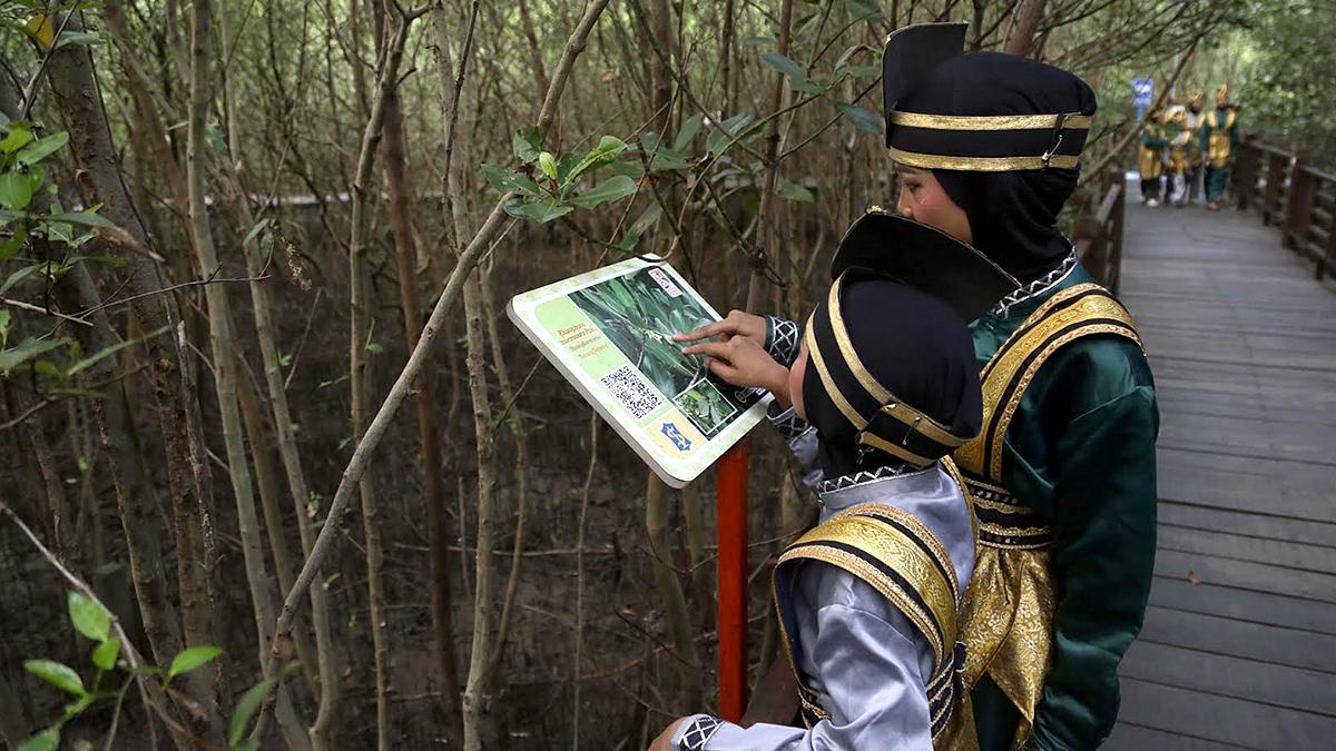 Kebun Raya Mangrove Surabaya Jadi Destinasi Edukasi, Kunjungan Pelajar Meningkat Sepanjang 2025