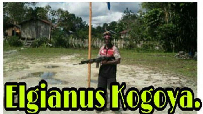 perbandingan-kekuatan-kelompok-egianus-kogoya-dan-pasukan-tni-yang-memburunya-di-papua.jpg