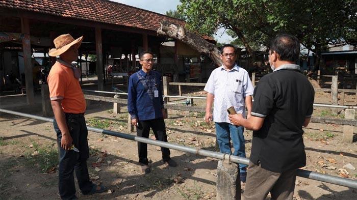 persiapan-pembukaan-pasar-hewan-di-Kota-Kediri.jpg