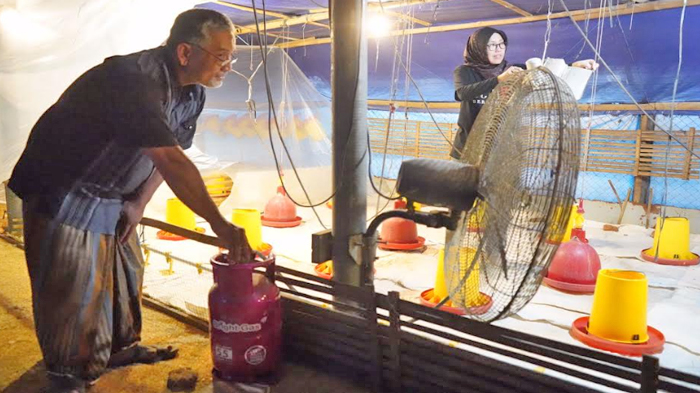 Peternak di Kabupaten Kediri Beralih Gunakan LPG Non-Subsidi