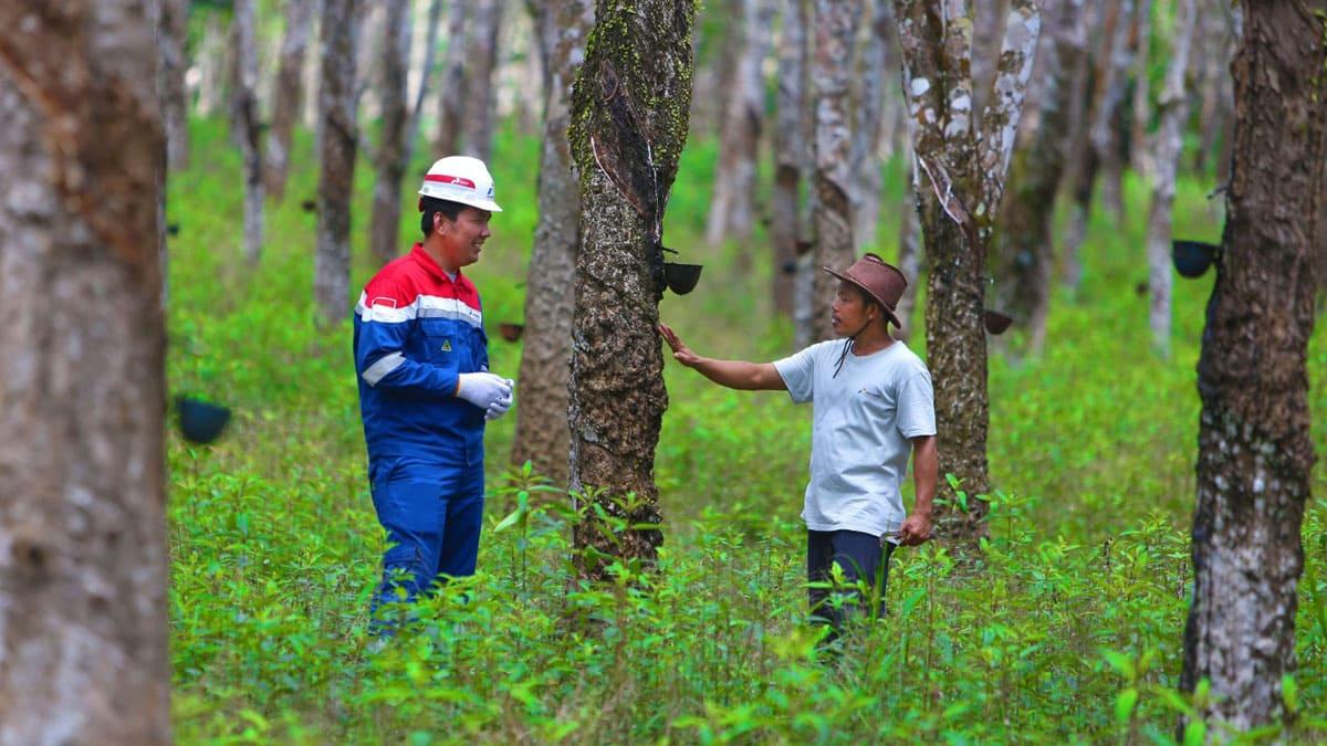 petugas-PGN-bersama-petani-getah-karet.jpg