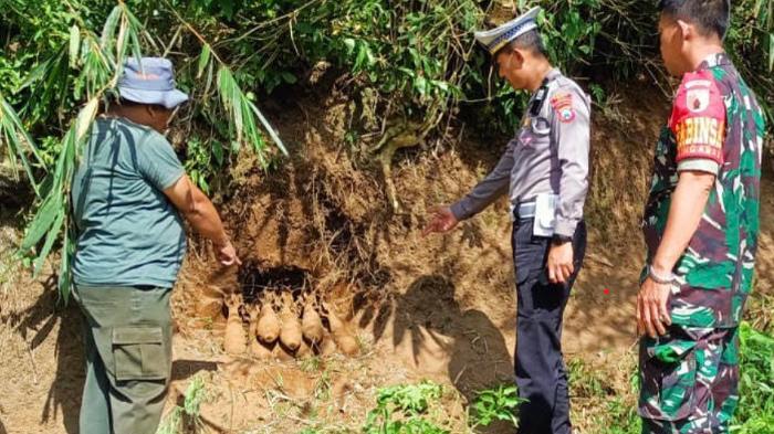Temuan 9 Mortir Aktif di Pujon Kabupaten Malang, Diduga Sisa Perang Dunia II
