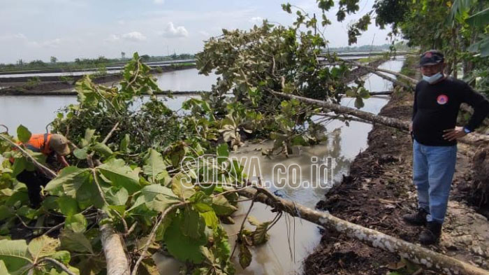Angin Puting Beliung Rusak Belasan Rumah di Karanggeneng dan Kembangbahu Kabupaten Lamongan