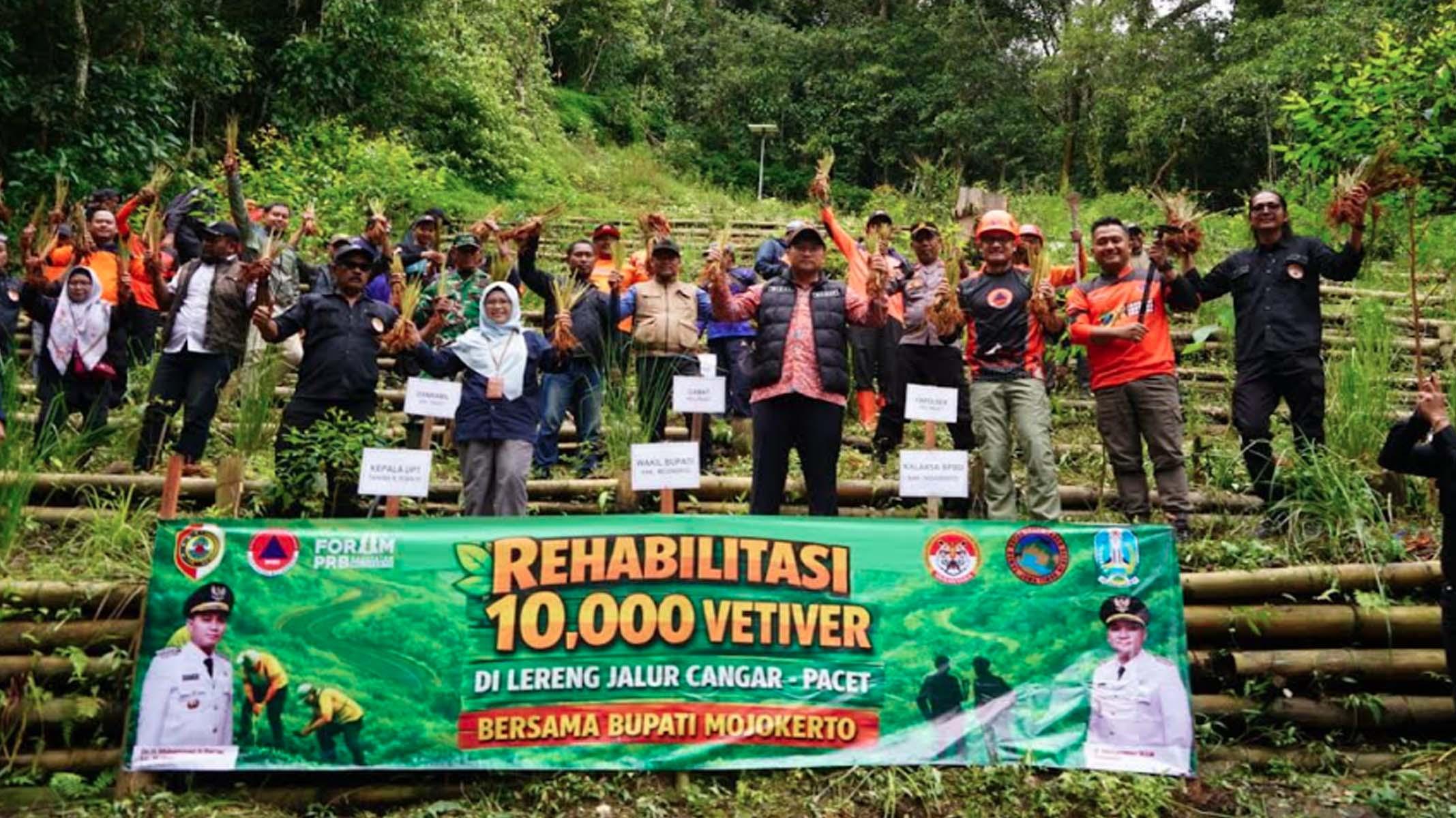 rehabilitasi-penghijaun-lereng-Cangar.jpg