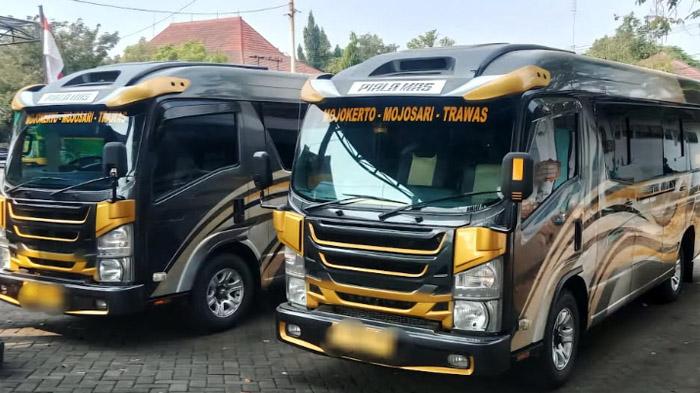 Trayek Lama Mojokerto-Mojosari-Trawas Dibuka Kembali, Rute Hutan Pinus Menadi Ajang Nostalgia