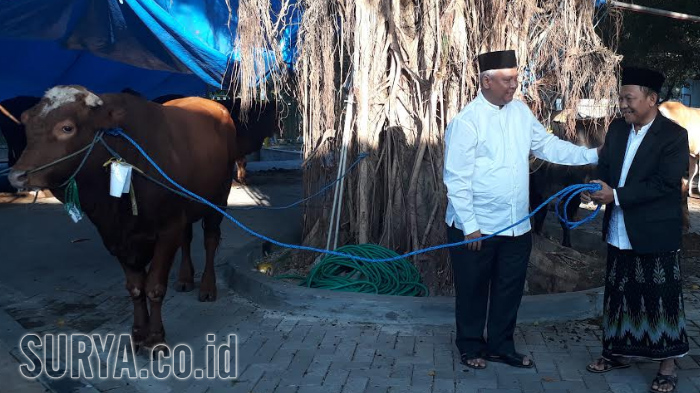 Perayaan Idul Adha di Gresik, Saatnya Berbagi Hewan Kurban ke Warga Kurang Mampu