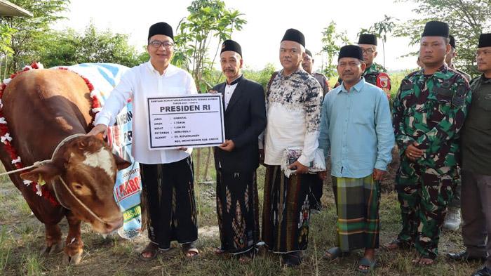 sapi-presiden-diserahkan-di-Gresik-1.jpg