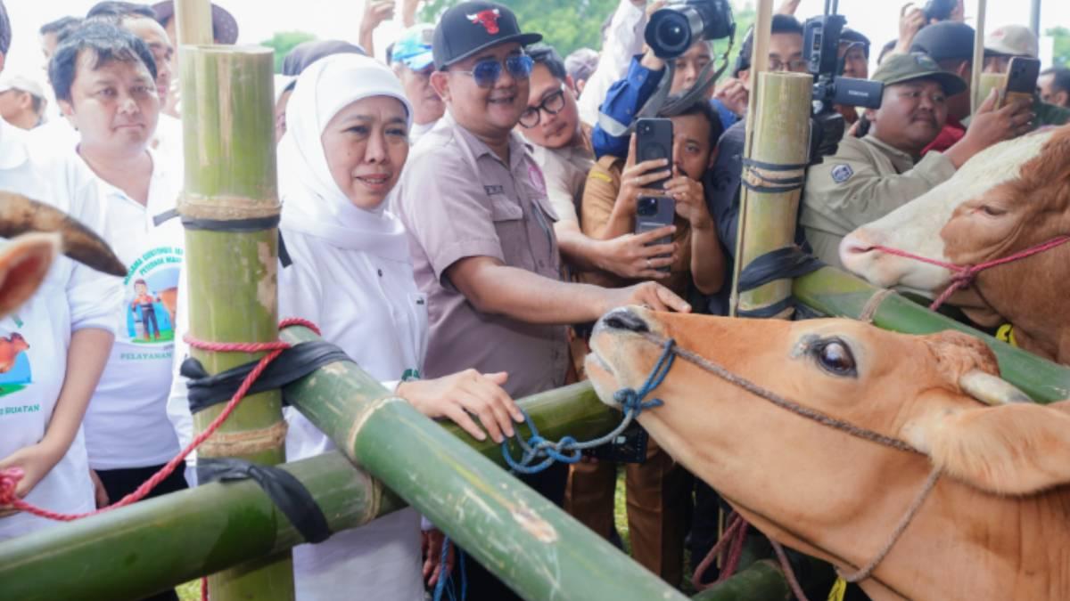 serentak-ke-38-kabupaten-kota-di-Jatim-untuk-menanggulangi-wabah-PMK.jpg