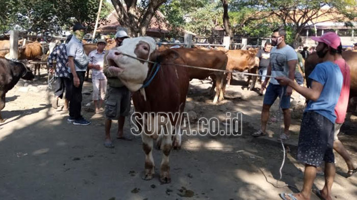 suasana-di-pasar-hewan-tulungagung-desa-beji-kecamatan-boyolangu.jpg