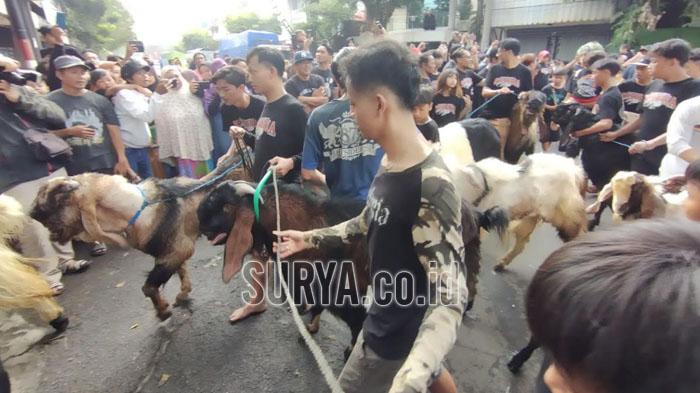 Idul Adha 2023, Ada Tradisi Mengarak Kambing Kurban yang Meriah di Kota Malang