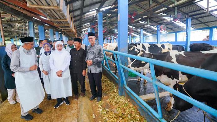 Hidupkan Peternak Lokal, Khofifah Usulkan Susu Untuk MBG Gunakan Galon Dan Diminum Dari Gelas