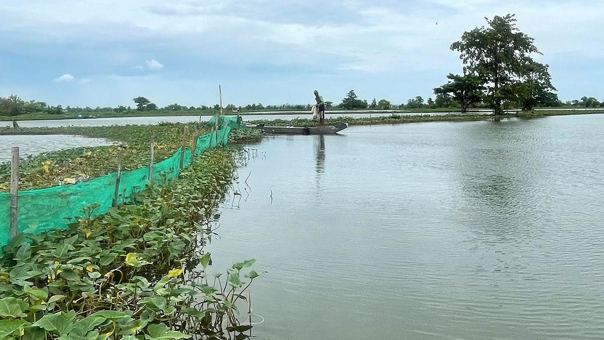 tambak-terendam-banjir-lamongan-jatim-1412026.jpg