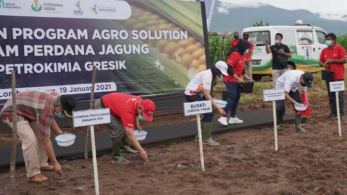 tanam-jagung-direktur-operasi-produksi-pg.jpg