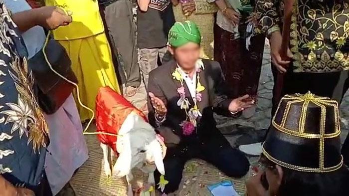 BK DPRD Gresik Segera Rapat Bahas Anggota Dewan Diduga Hadiri Pernikahan 'Domba', Marwah 'Tercoreng'