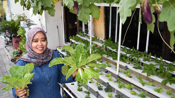 urban-farming-rendri-dwi-yuliana-39-bersama-suami-salifudin-45-menanam-sayuran.jpg