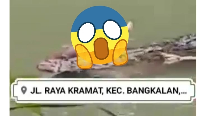 video-buaya-makan-manusia-di-sungai-desa-kramat-dipastikan-hoax.jpg