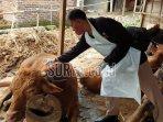 Dawarblandong-Kabupaten-Mojokerto-Senin-952022.jpg