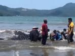 Desa-Karanggandu-ikan-hiu-terdampar.jpg